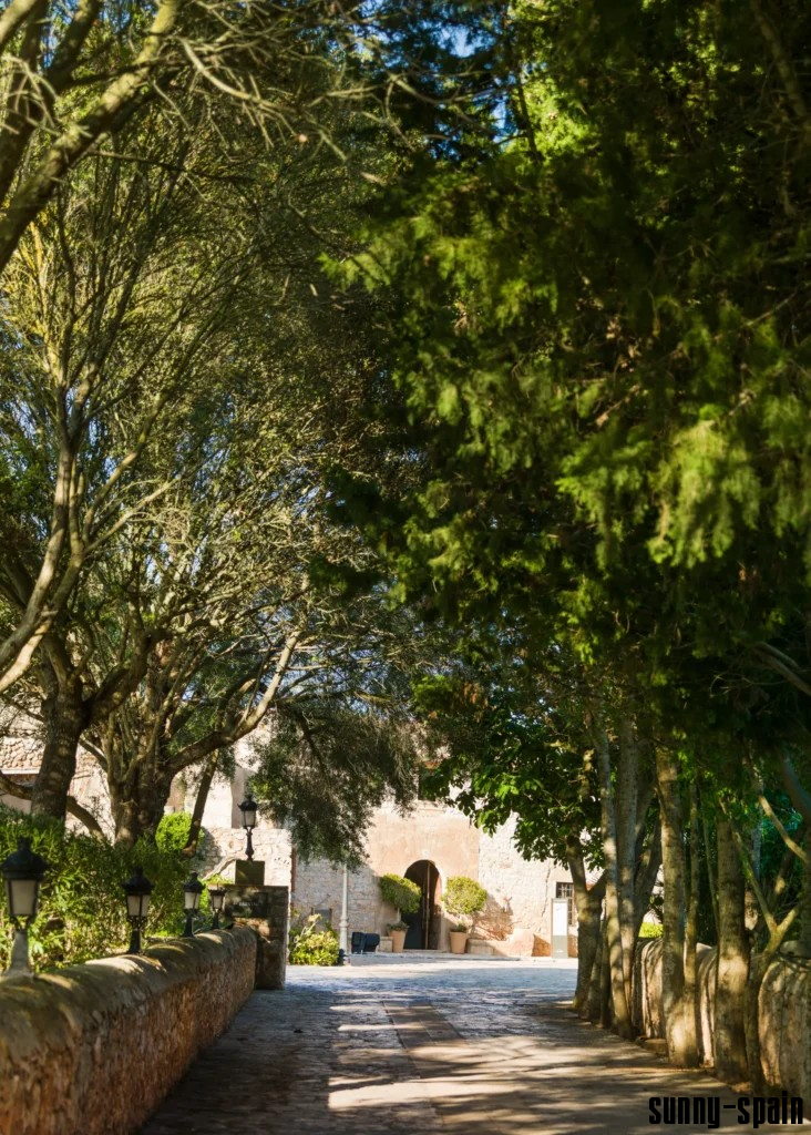 Finca Esplendor Mallorca - Bild# 17