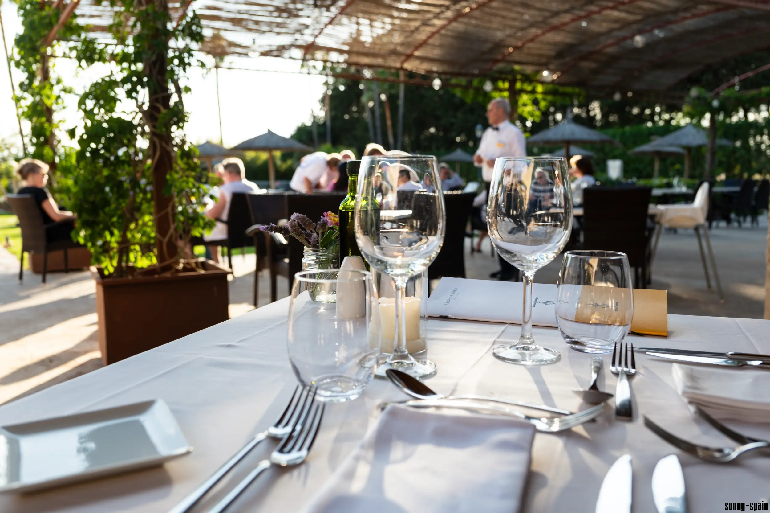 Finca Esplendor Mallorca - Bild# 3