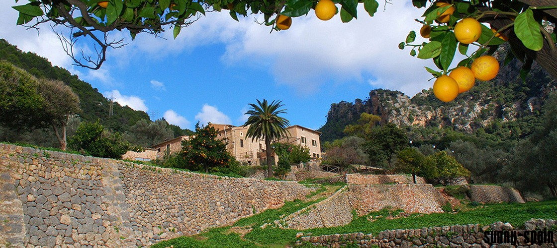 Herrschaftliches Landgut im Tramuntana-Paradies - Bild# 9