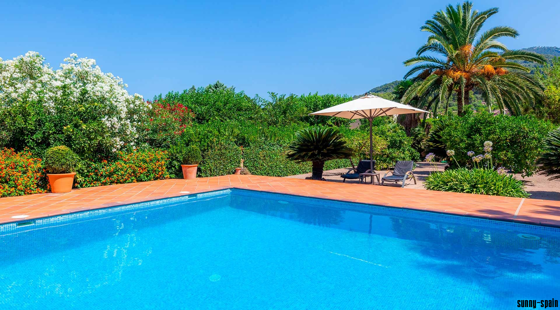 (August 2025 möglich) Adults-Only Agroturismo im idyllischen Sóller-Tal - Bild# 12