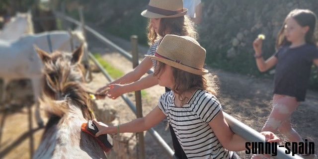 Agroturismo auf Mallorca - Bild# 4