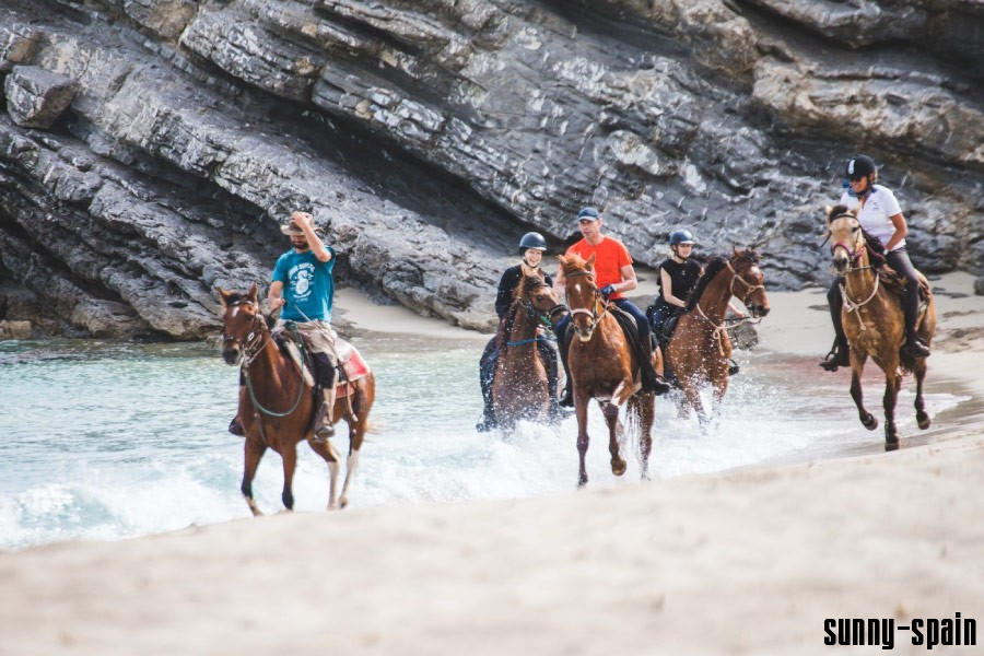 Agroturismo auf Mallorca - Bild# 11